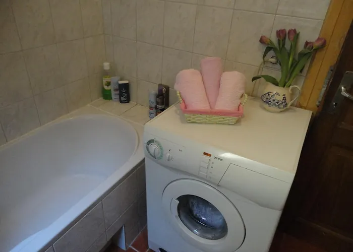 Matija Milica - Center